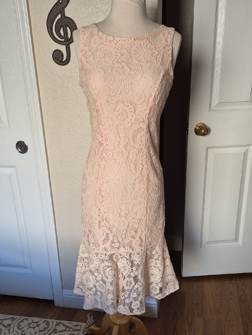 eva mendes for New York & Company Lace Midi Dress in Blush